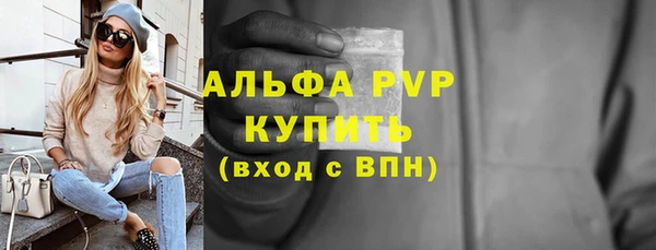 стафф Алексин