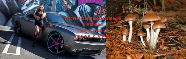 герыч Алзамай