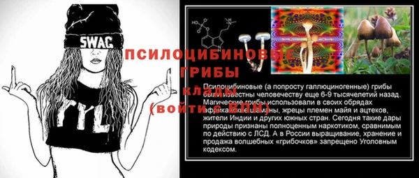 герыч Алзамай