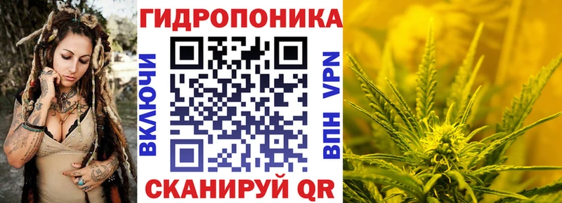 MEGA как зайти  наркота  Сыктывкар  Марихуана конопля 